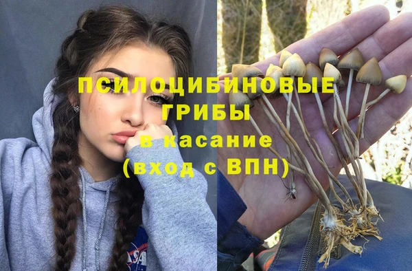 таблы Армянск